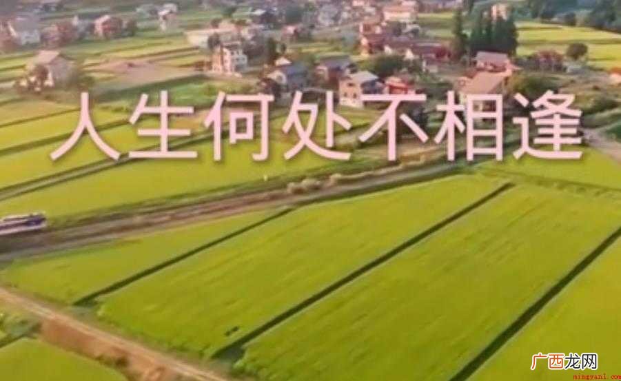 人生何处不相逢是么意思 人生何处不相逢是什么意思