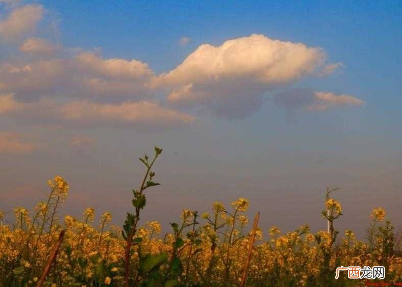 黄梅天气的形成条件是什么