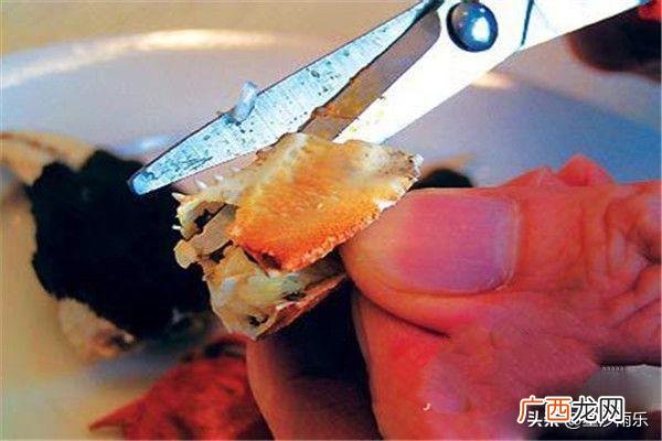 怎样吃螃蟹,怎么吃螃蟹啊？