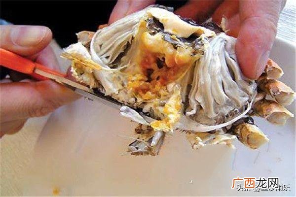 怎样吃螃蟹,怎么吃螃蟹啊？
