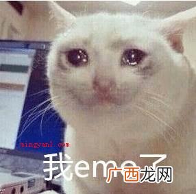 网上中emo的含意为非主流女生,次之可以延展了解为 emo梗是什么意思？