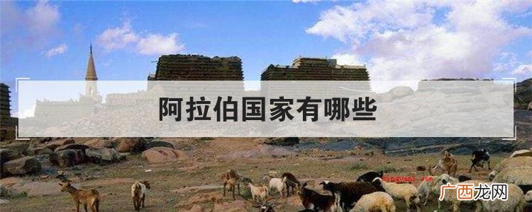 简略回应阿拉伯国家包含 阿拉伯国家有哪些