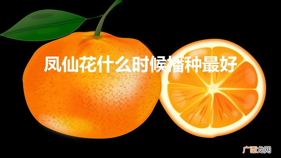 凤仙花什么时候播种最好（凤仙花第二年还能活吗)