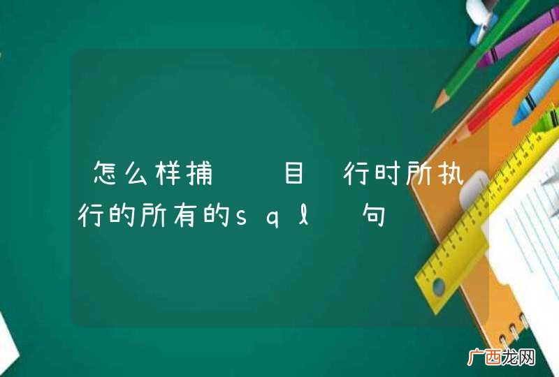 怎么样捕获项目运行时所执行的所有的sql语句