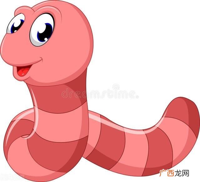 属蛇人心里最爱的人是谁 生肖蛇一生最亲的人是谁