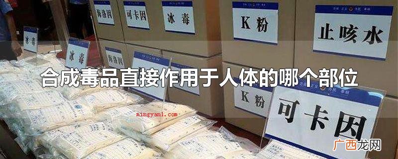 生成毒品立即效果于身体的中枢神经系统软件 合成毒品直接作用于人体的哪个部位