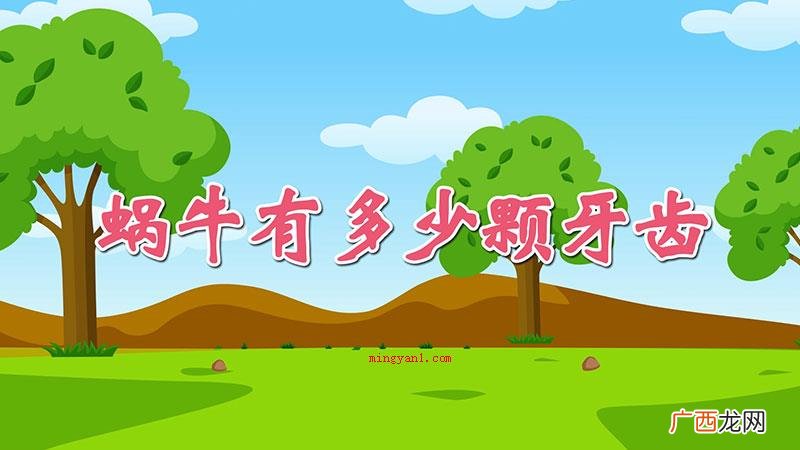 蜗牛口中较多有135排牙齿,每行有105颗牙,累计14175 蜗牛有多少颗牙齿