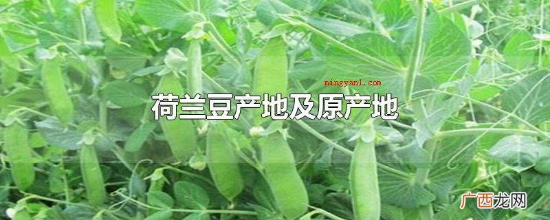 荷兰豆原产地在地中海沿岸及中国中西部,现阶段在世界各国均有栽 荷兰豆产地及原产地