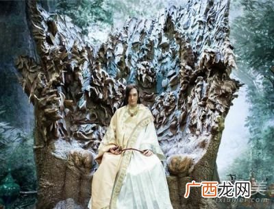 幻城里四大护法都是谁,幻城原著中卡索如何获得隐莲的？