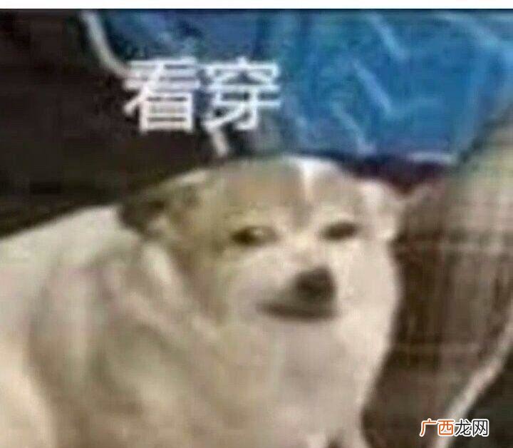 没立即见到新的头条新闻啊 山谷女孩是什么意思