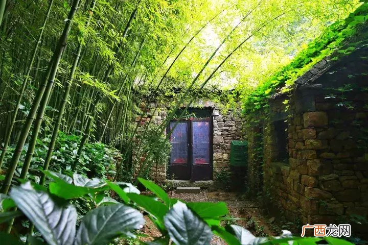 俗话：门前种竹，做人狠毒，何意理 门口种竹子风水十大禁忌