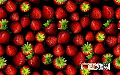 草莓属性,有备无患草莓团子是什么属性？