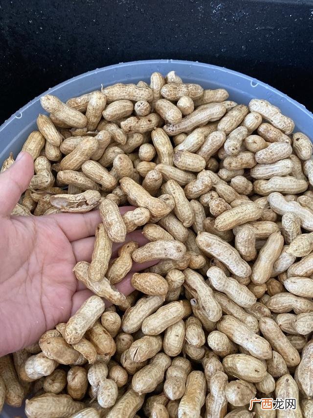 煮花生的做法,水煮花生的调料配方？