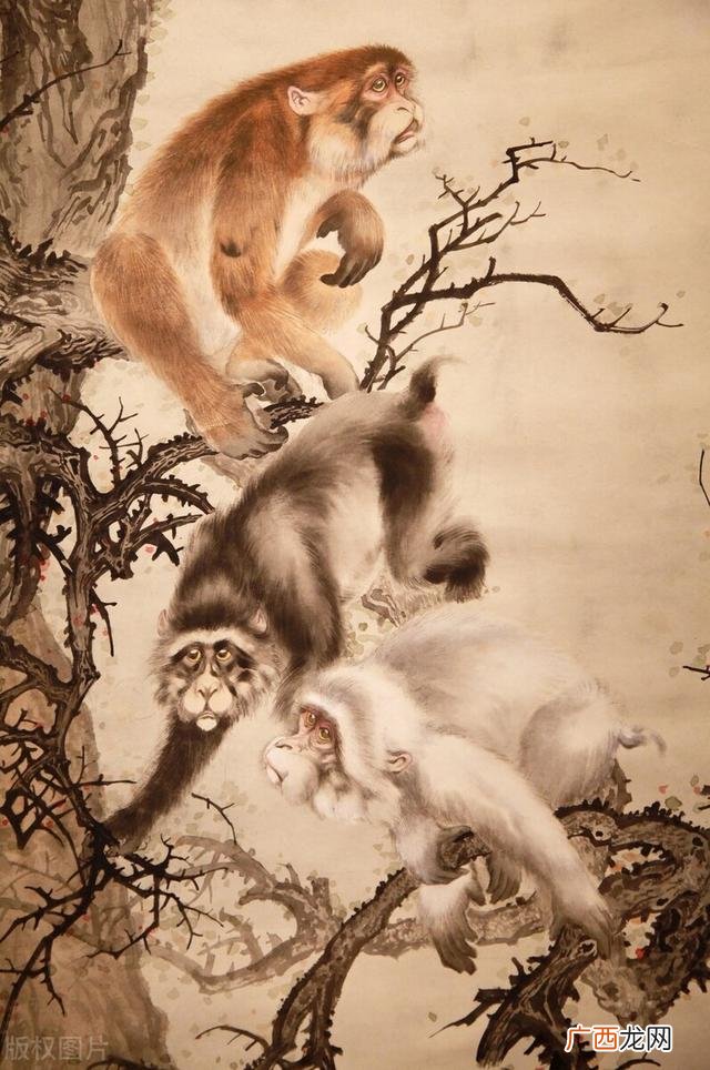 任何人不敢惹的三大生肖 十二生肖中哪些生肖的人不能得罪
