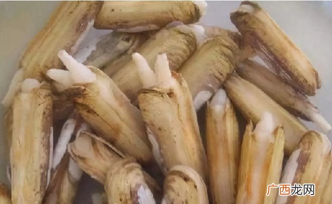 蛏子的清洗方法,小蛏子的清洗与家常做法?