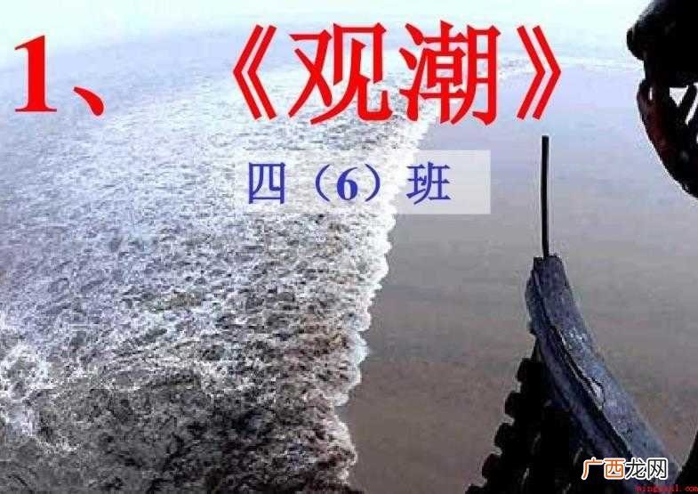 《观潮》课文原文是什么