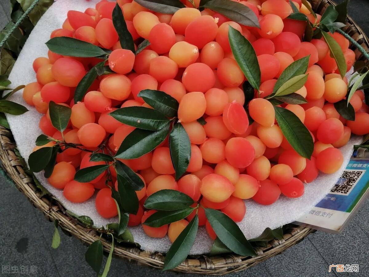 金西梅好吃吗 金西梅是什么水果