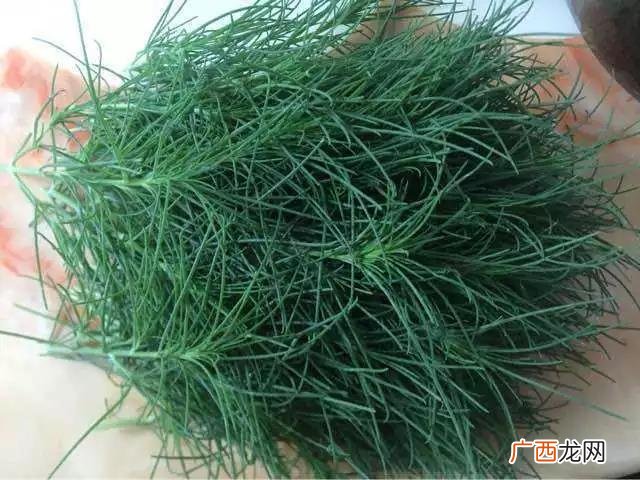 猪毛菜怎么做,猪毛菜的10种做法?