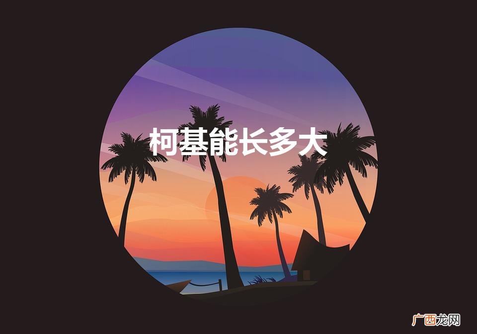 柯基能长多大（柯基长多大属于成犬)