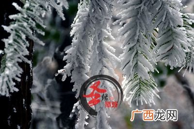 仿真雪有毒吗,滑雪场的雪是真雪吗?