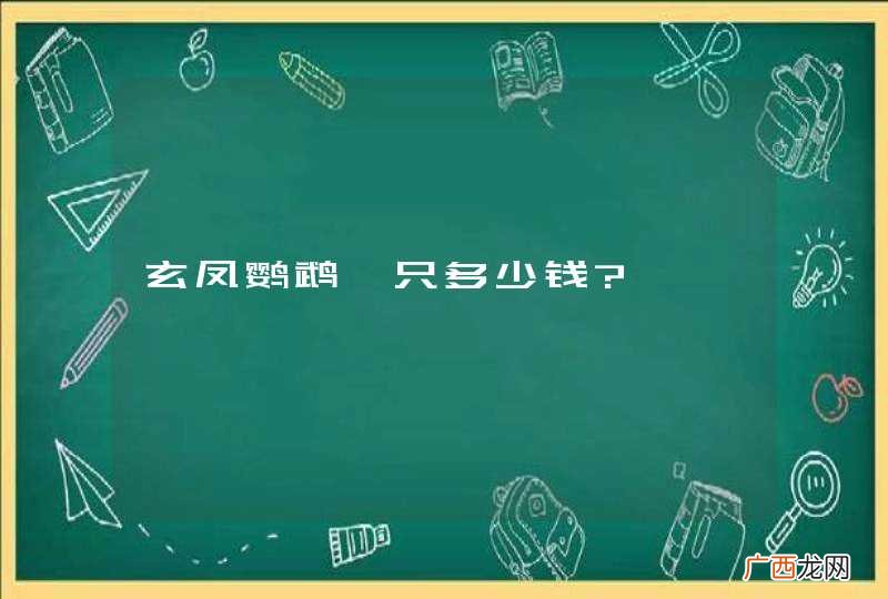 玄凤鹦鹉一只多少钱?