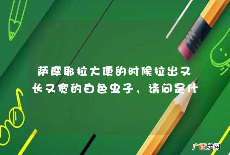 萨摩耶拉大便的时候拉出又长又宽的白色虫子,请问是什么虫子啊?