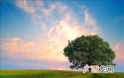 表达早安的古典诗句,跟对象说早安的古诗？