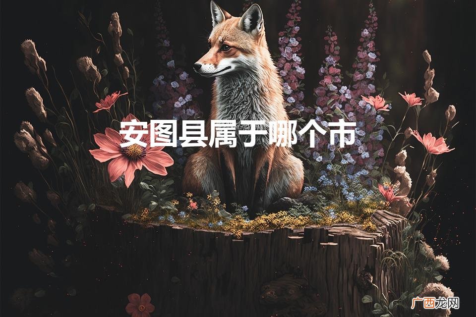 安图县属于哪个市（安图县属于哪个市哪个省)