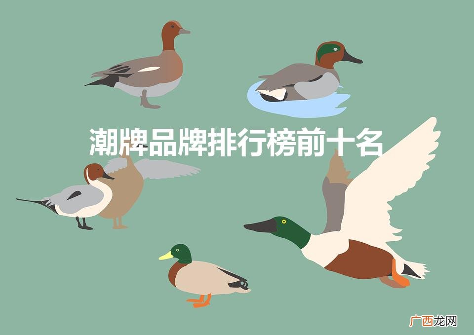潮牌品牌排行榜前十名（潮鞋品牌排行榜前十名)