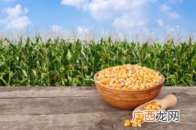 三大粮食作物是指什么,三国时代的主要粮食是什么？