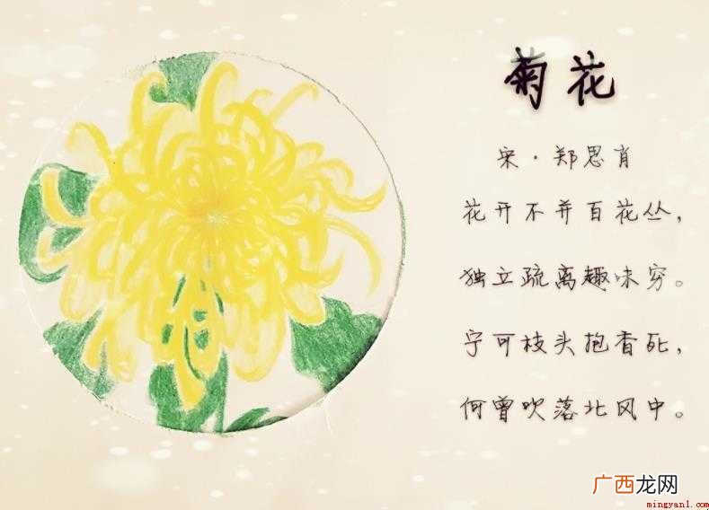 《菊花》古诗原文是什么