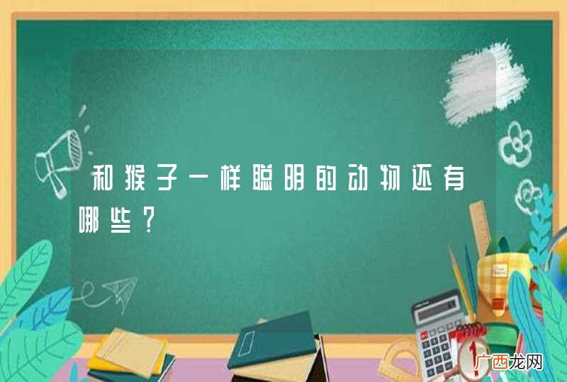 和猴子一样聪明的动物还有哪些？