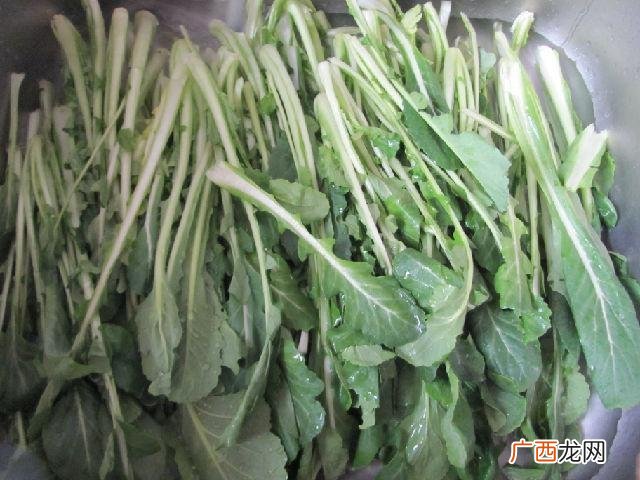 苔苔菜怎么吃,苔菜怎么炒好吃又简单窍门？