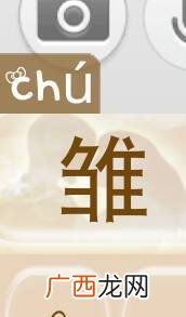 雏怎么读,雏是什么字？