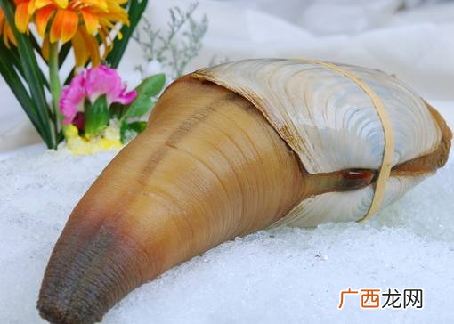 象拔蚌的功效和作用,蚌可以净化水质吗？