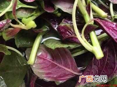 怎么吃苋菜