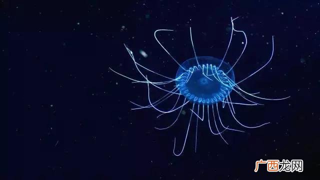 海里的盐是怎么产生的,海底的盐是怎么来的？