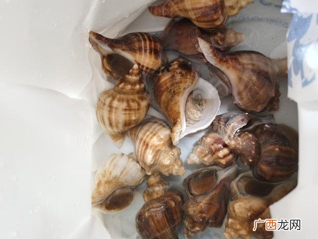 家庭盐焗花螺怎么做,盐焗油螺做法？