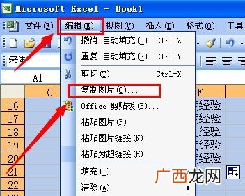 如何在Excel中用快捷键截图,excel表格怎么把那一列截图？