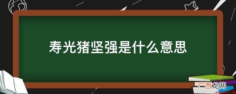 寿光沿岸地区好几个村子遭受河流倒流 寿光猪坚强是什么意思