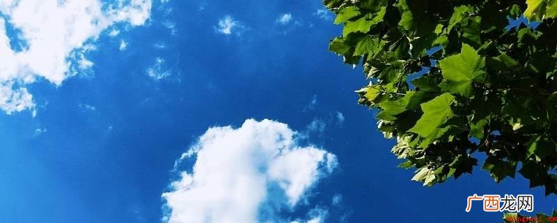 绿树成荫、烈日当空、烁玉流金、吴牛喘月、炎热 描写夏天的四字词语