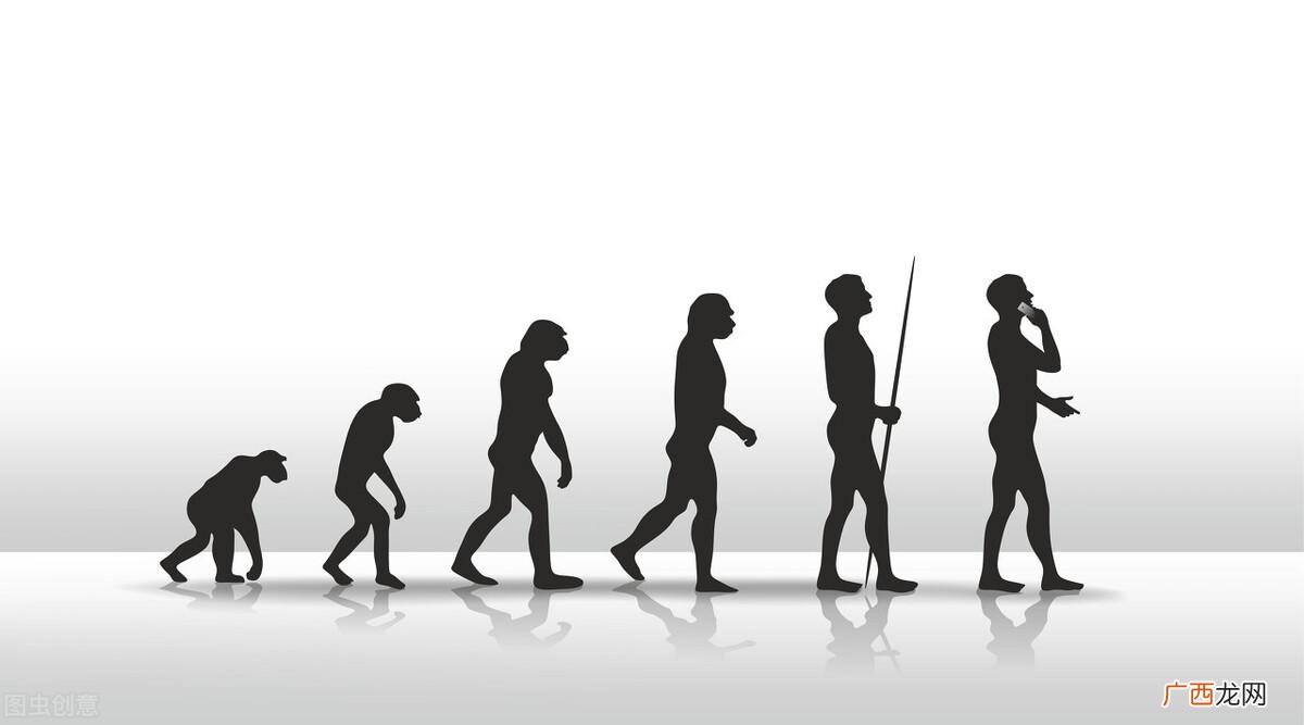 人是什么界什么门什么纲 人属于什么界门纲目科属种