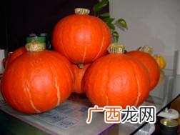 南瓜品种,多子南瓜品种？