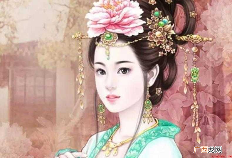 明妃曲二首表达了什么情感 《明妃曲二首》表达了什么情感