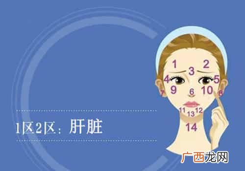 脸部部位名称,面孔和脸孔有什么区别？