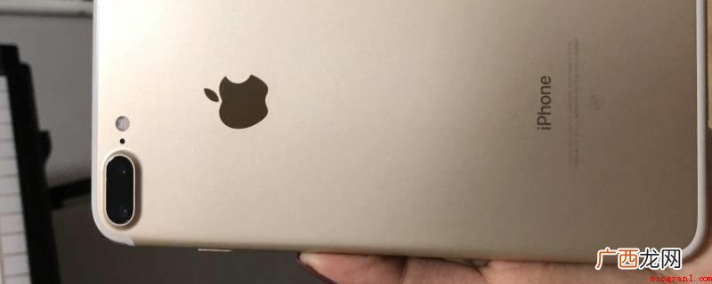 iOS14 手机bs机是什么意思