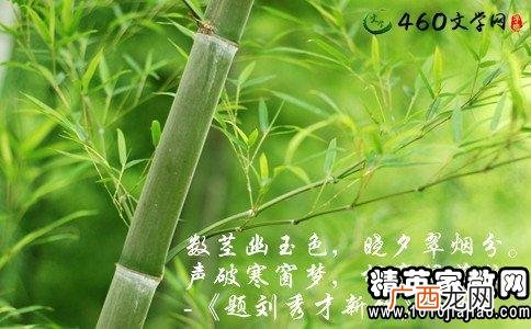 竹子精神品质有哪些,竹石的表达竹石什么品质？