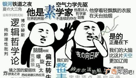 GalGame美好的每一天 素学家是什么梗