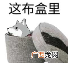 见表情图,本意“这有效吗” 这河里马是什么意思