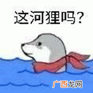 见表情图,本意“这有效吗” 这河里马是什么意思